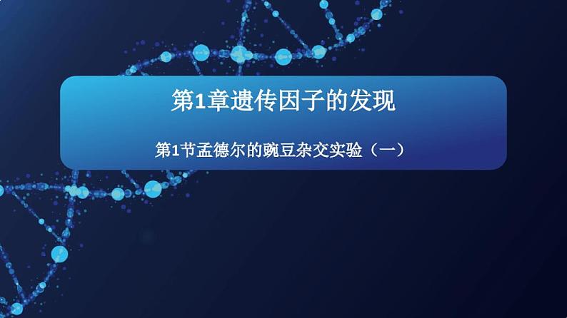 1.1孟德尔的豌豆杂交实验(一)课件2020-2021学年高一生物人教版(2019)必修二01