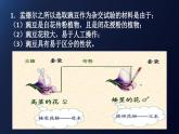 1.1孟德尔的豌豆杂交实验(一)课件2020-2021学年高一生物人教版(2019)必修二