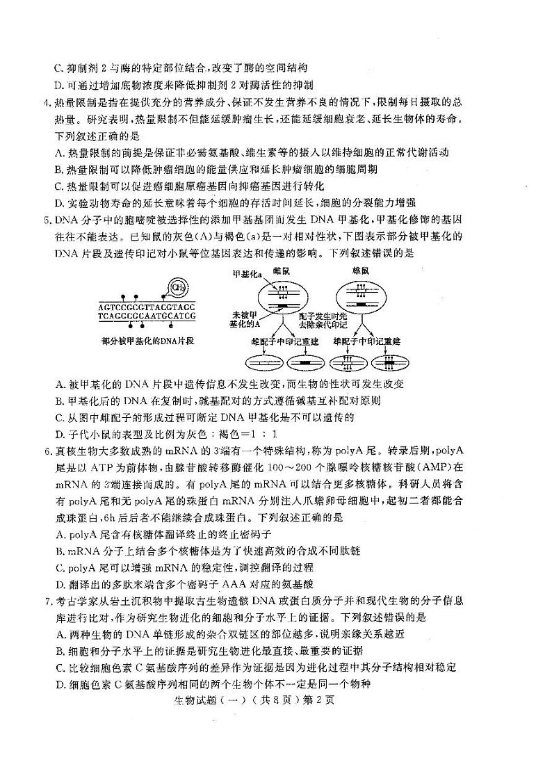 山东省聊城市2022-2023学年普通高中学业水平等级考试模拟（一）生物试题  PDF版无答案第2页