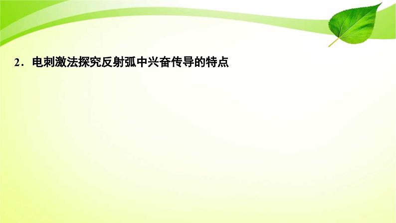 高中生物高考2022年二轮复习：加强提升课(七)　反射弧中兴奋传导特点的实验探究课件PPT第3页