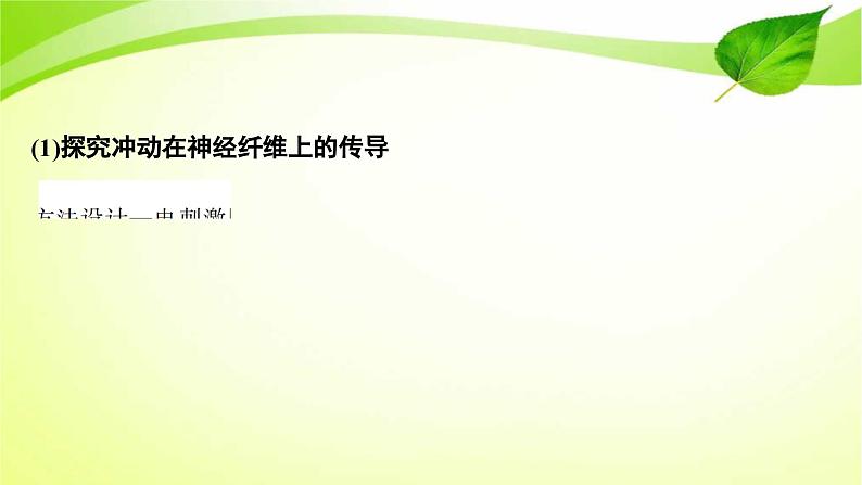 高中生物高考2022年二轮复习：加强提升课(七)　反射弧中兴奋传导特点的实验探究课件PPT第4页