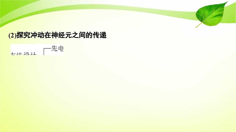 高中生物高考2022年二轮复习：加强提升课(七)　反射弧中兴奋传导特点的实验探究课件PPT第5页