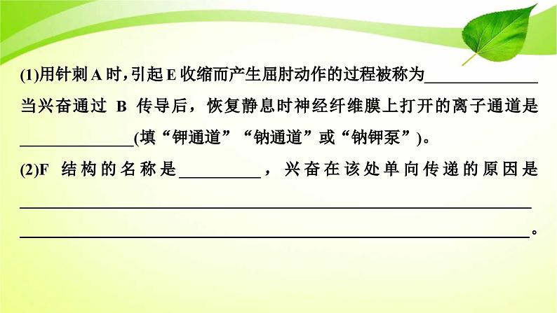 高中生物高考2022年二轮复习：加强提升课(七)　反射弧中兴奋传导特点的实验探究课件PPT第7页