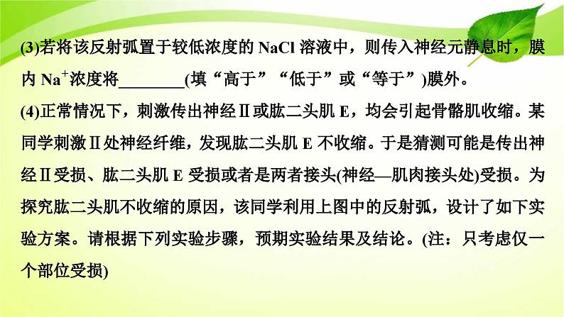 高中生物高考2022年二轮复习：加强提升课(七)　反射弧中兴奋传导特点的实验探究课件PPT第8页