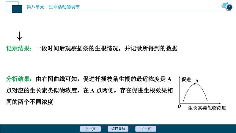 高中生物高考10　第八单元　加强提升课(8)　植物激素调节相关实验探究课件PPT第6页