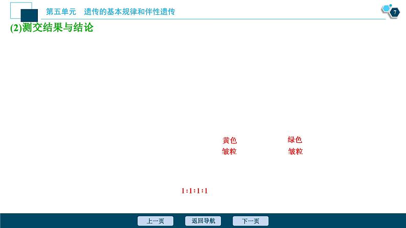 高中生物高考2 第14讲　基因的自由组合定律课件PPT第8页