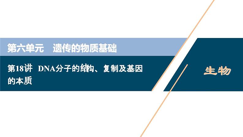 高中生物高考2 第18讲　DNA分子的结构、复制及基因的本质课件PPT01