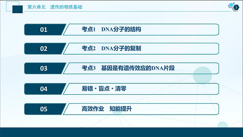 高中生物高考2 第18讲　DNA分子的结构、复制及基因的本质课件PPT02