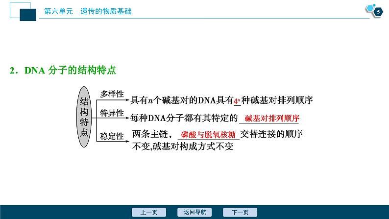 高中生物高考2 第18讲　DNA分子的结构、复制及基因的本质课件PPT06