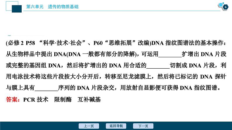 高中生物高考2 第18讲　DNA分子的结构、复制及基因的本质课件PPT07