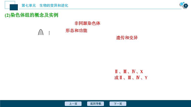 高中生物高考2 第21讲　染色体变异课件PPT第6页