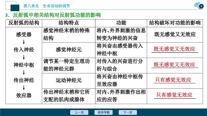 高中生物高考2 第24讲　通过神经系统的调节课件PPT第7页