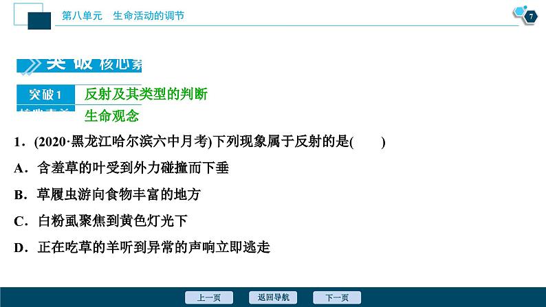 高中生物高考2 第24讲　通过神经系统的调节课件PPT第8页