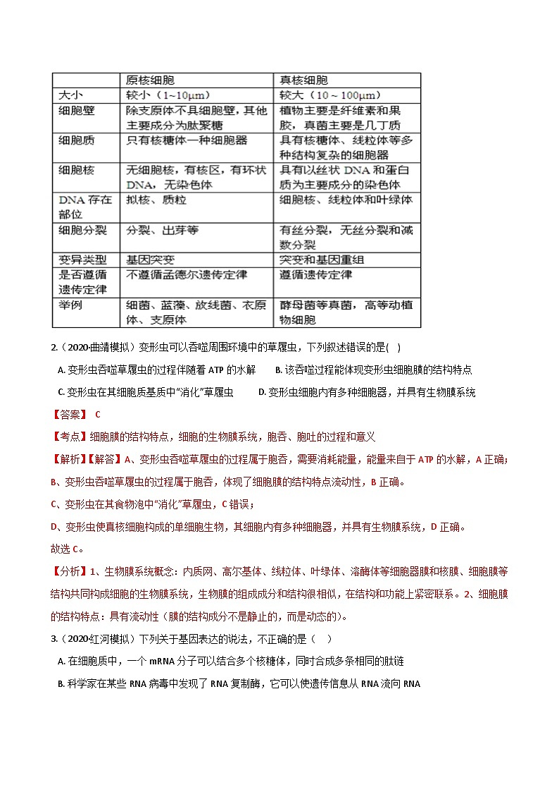 高中生物高考卷08-备战2021年高考生物【名校地市好题必刷】全真模拟卷·1月卷（新课标专用）（解析版）第2页
