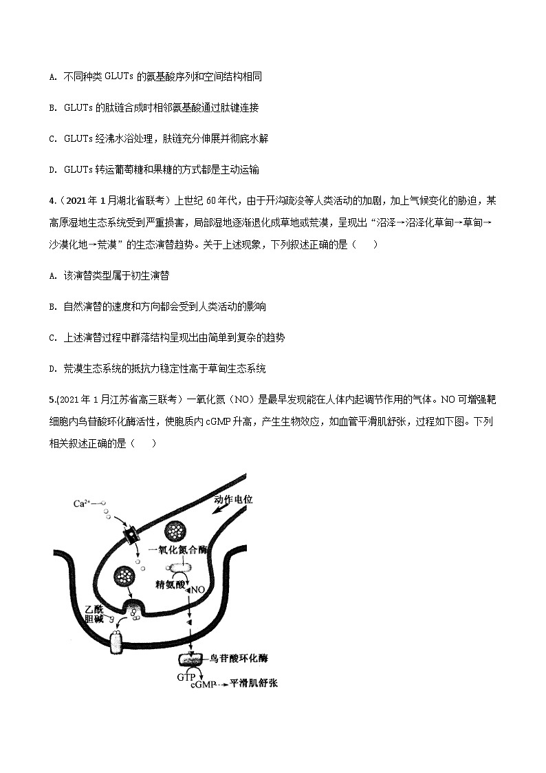 高中生物高考卷08-备战2021年高考生物【名校地市好题必刷】全真模拟卷·2月卷（新课标专用）（原卷版）第2页