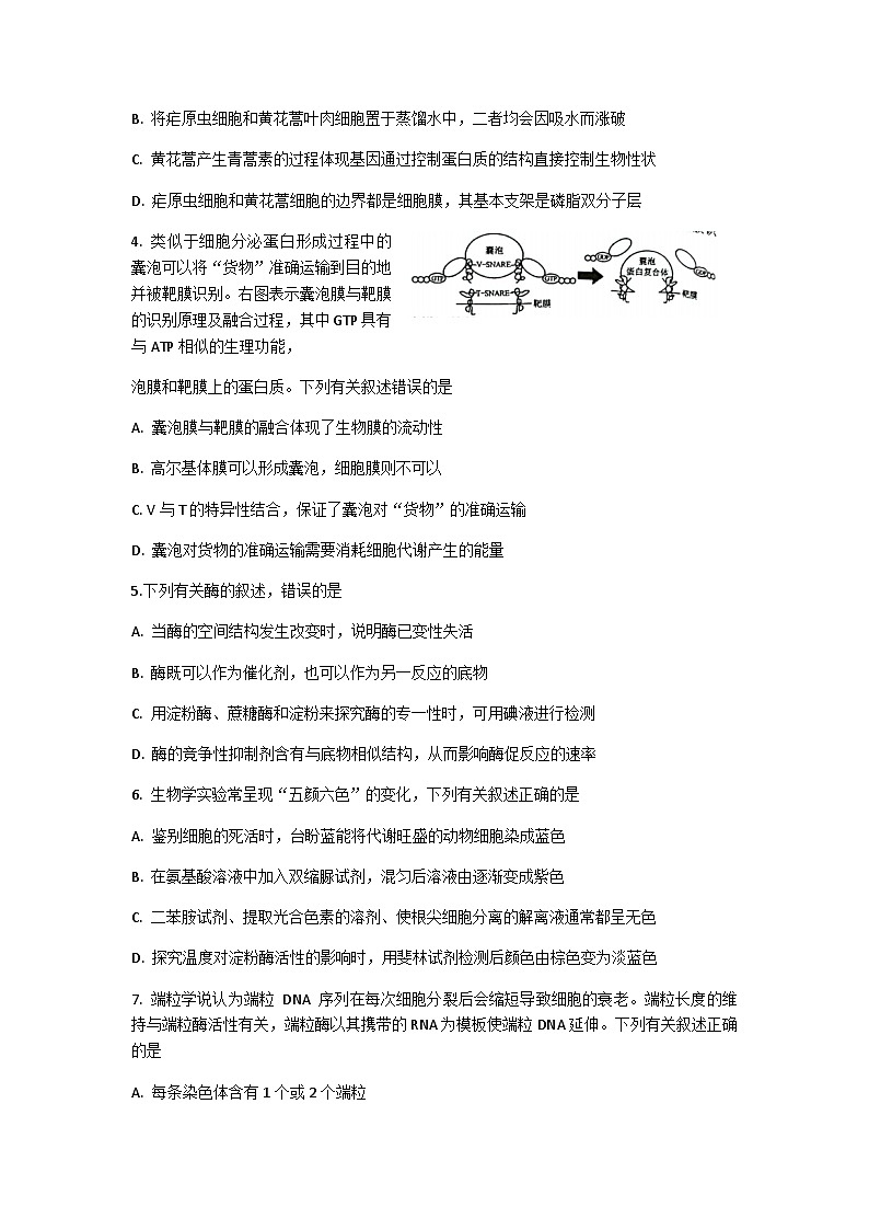 江苏省常熟市2022-2023学年高三上学期阶段性抽测一生物试题第2页