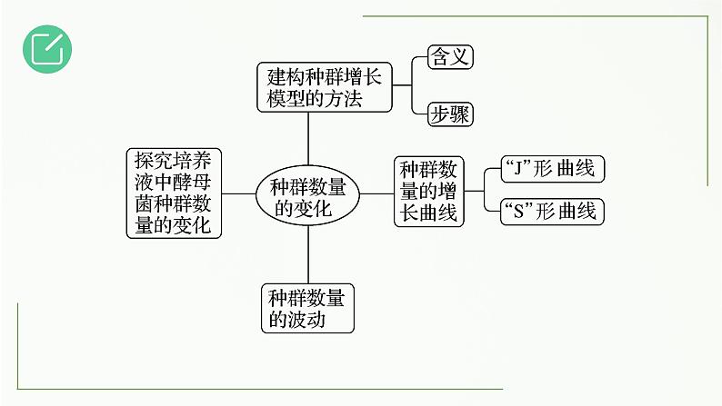 高中生物选择性必修二 1 2 种群的数量变化（第1课时）精讲课件练习题第3页