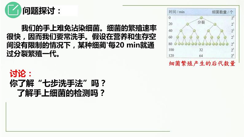 高中生物选择性必修二 1 2 种群的数量变化（第1课时）精讲课件练习题第4页