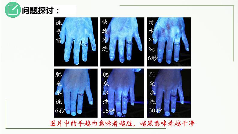 高中生物选择性必修二 1 2 种群的数量变化（第1课时）精讲课件练习题第6页