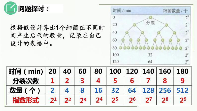 高中生物选择性必修二 1 2 种群的数量变化（第1课时）精讲课件练习题第7页