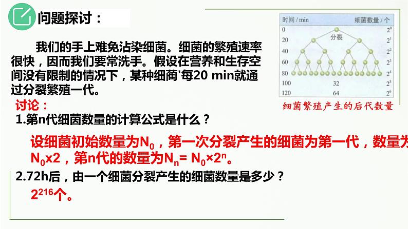 高中生物选择性必修二 1 2 种群的数量变化（第1课时）精讲课件练习题第8页