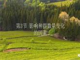 高中生物选择性必修二 1 3 影响种群·数量变化的因素 课件练习题