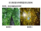 高中生物选择性必修二 1 3 影响种群·数量变化的因素 课件练习题