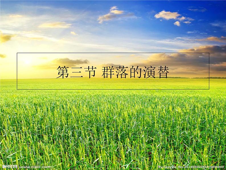 高中生物选择性必修二 2 3 群落的演替 课件练习题第1页