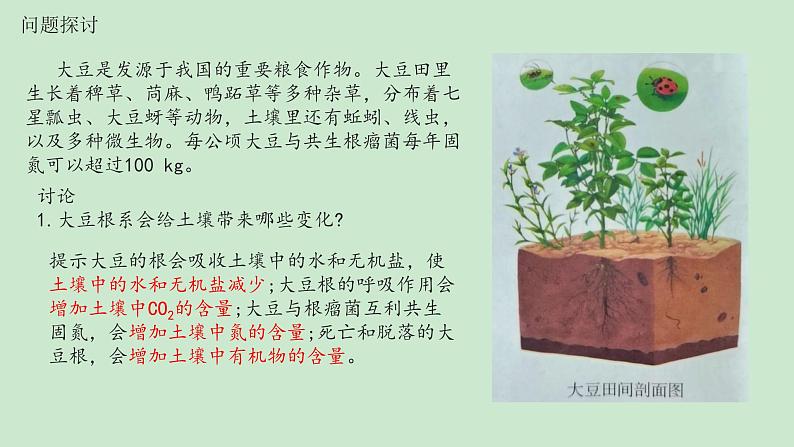 高中生物选择性必修二 3 1生态系统的结构 课件练习题第2页