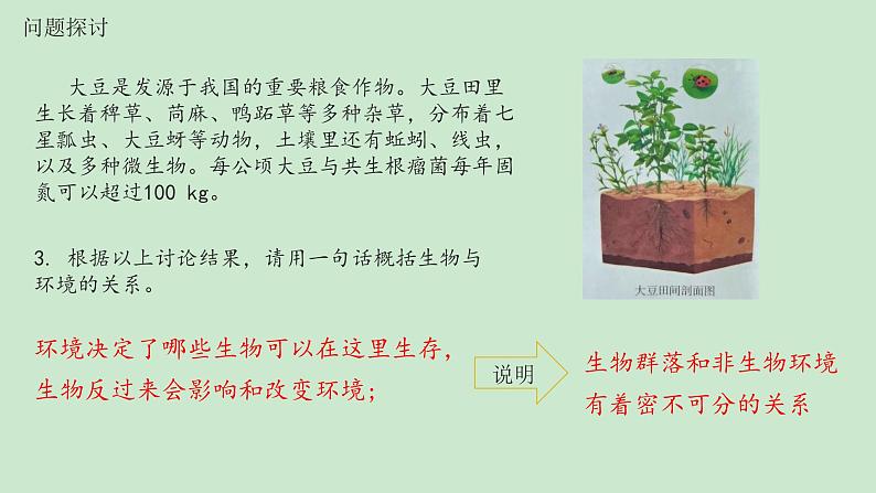 高中生物选择性必修二 3 1生态系统的结构 课件练习题第4页