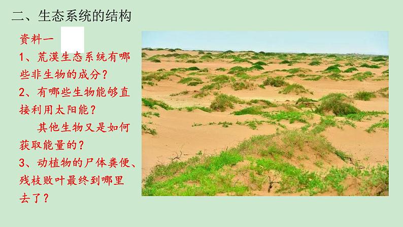 高中生物选择性必修二 3 1生态系统的结构 课件练习题第7页