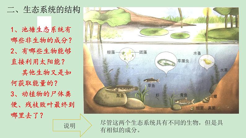 高中生物选择性必修二 3 1生态系统的结构 课件练习题第8页