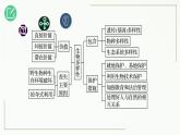 高中生物选择性必修二 4 2 生物多样性及其保护精讲课件练习题