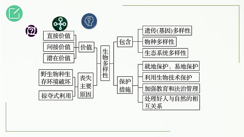 高中生物选择性必修二 4 2 生物多样性及其保护精讲课件练习题第3页