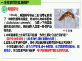 高中生物选择性必修二 4 2 生物多样性及其保护精讲课件练习题