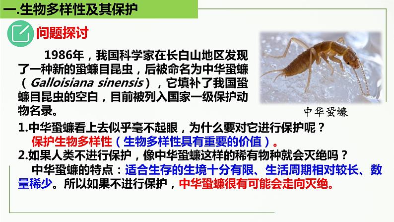 高中生物选择性必修二 4 2 生物多样性及其保护精讲课件练习题第4页