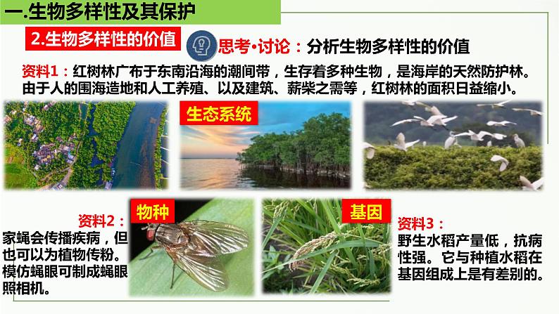 高中生物选择性必修二 4 2 生物多样性及其保护精讲课件练习题第6页