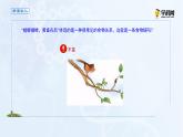 高中生物选择性必修二 课件 3 1 2食物链和食物网-高中生物学选择性必修2（新教材同步课件）练习题