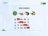 高中生物选择性必修二 课件 3 1 2食物链和食物网-高中生物学选择性必修2（新教材同步课件）练习题