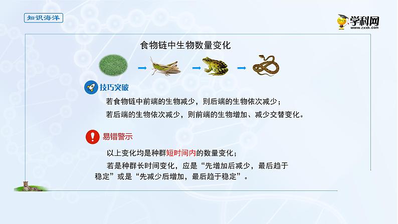 高中生物选择性必修二 课件 3 1 2食物链和食物网-高中生物学选择性必修2（新教材同步课件）练习题06