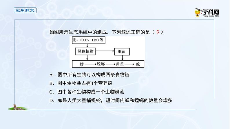 高中生物选择性必修二 课件 3 1 2食物链和食物网-高中生物学选择性必修2（新教材同步课件）练习题07