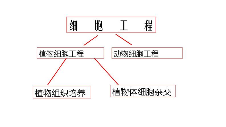 高中生物选择性必修三  2 1 1 植物细胞工程（第一课时） 课件练习题第4页