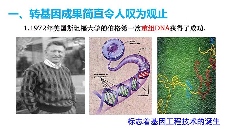 高中生物选择性必修三  4 1转基因产品的安全性 课件练习题第6页