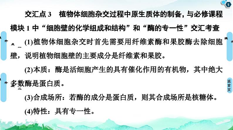 高中生物选择性必修三  第2章 素能提升课 细胞工程与其他相关知识的综合 课件练习题第5页