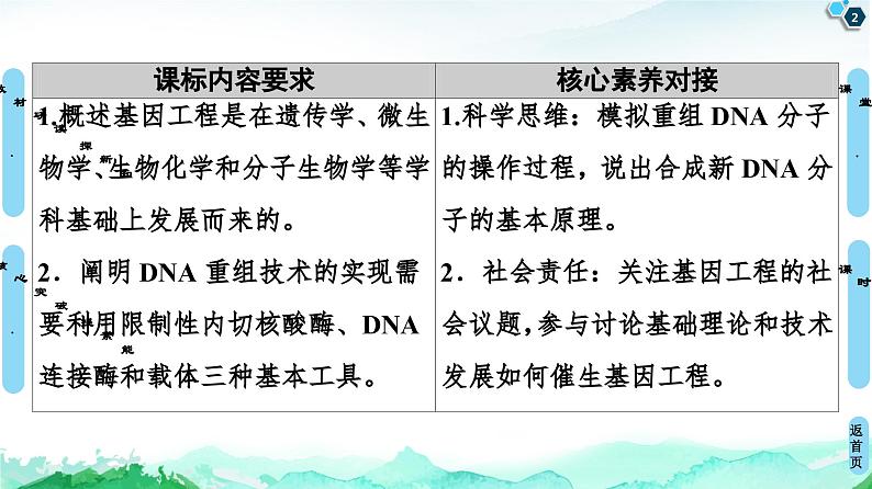 高中生物选择性必修三  第3章 第1节 重组DNA技术的基本工具 课件练习题02