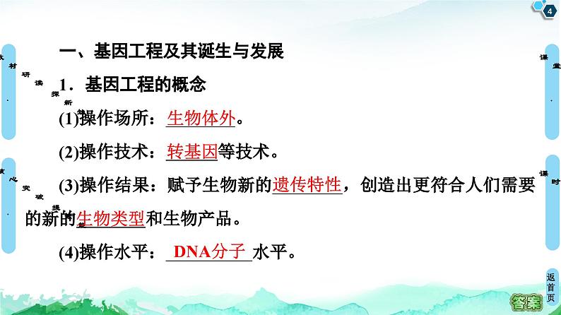 高中生物选择性必修三  第3章 第1节 重组DNA技术的基本工具 课件练习题04