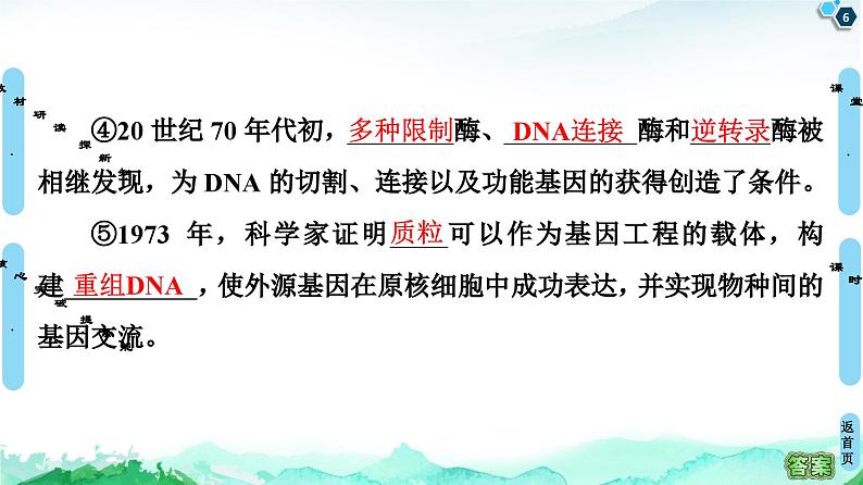 高中生物选择性必修三  第3章 第1节 重组DNA技术的基本工具 课件练习题06