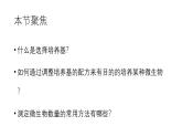 高中生物选择性必修三  1 2 微生物的培养技术及应用（第二课时） 课件练习题