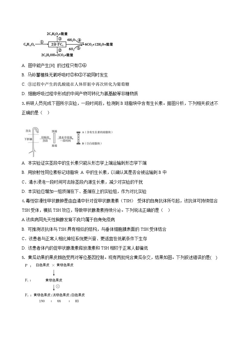 必刷卷03（原卷版）第2页