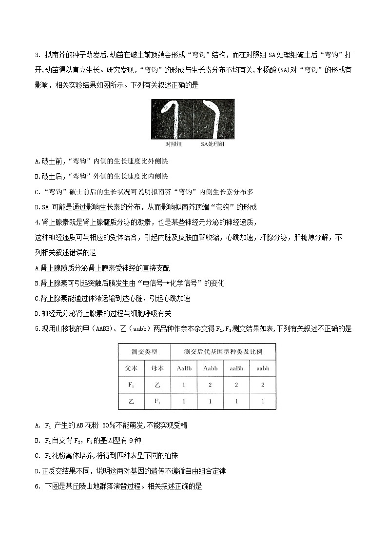 必刷卷04——【高考三轮冲刺】2023年高考生物考前20天冲刺必刷卷（全国甲卷）（原卷版+解析版）02